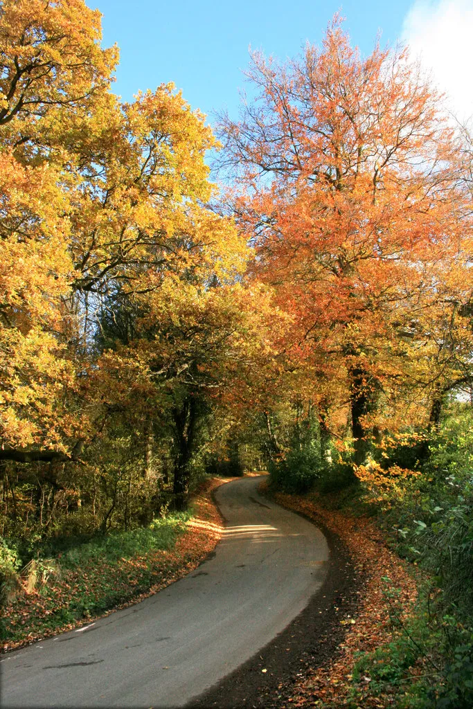 Otoño en la calle: las 5 tendencias que ya se llevan en Madrid, Barcelona y Sevilla (y cómo hacerlas tuyas)
